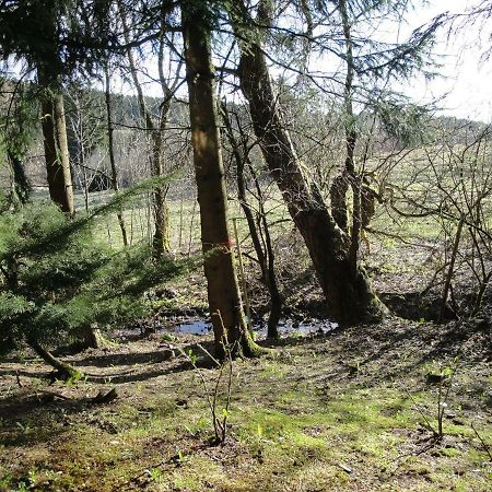 Ferienwohnung Wandervogel Braunlage Kültér fotó
