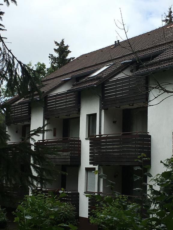 Ferienwohnung Wandervogel Braunlage Kültér fotó