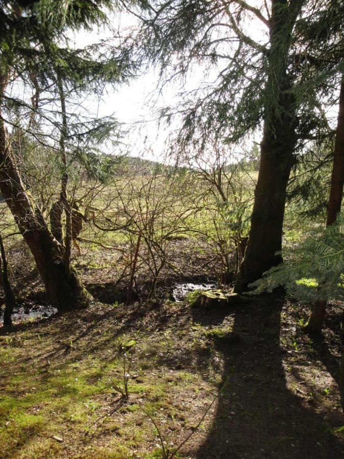 Ferienwohnung Wandervogel Braunlage Kültér fotó