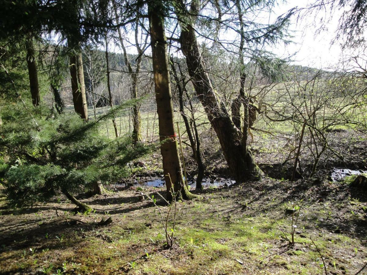 Ferienwohnung Wandervogel Braunlage Kültér fotó