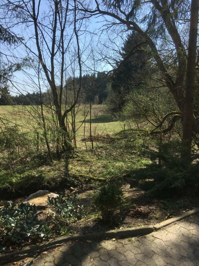 Ferienwohnung Wandervogel Braunlage Kültér fotó